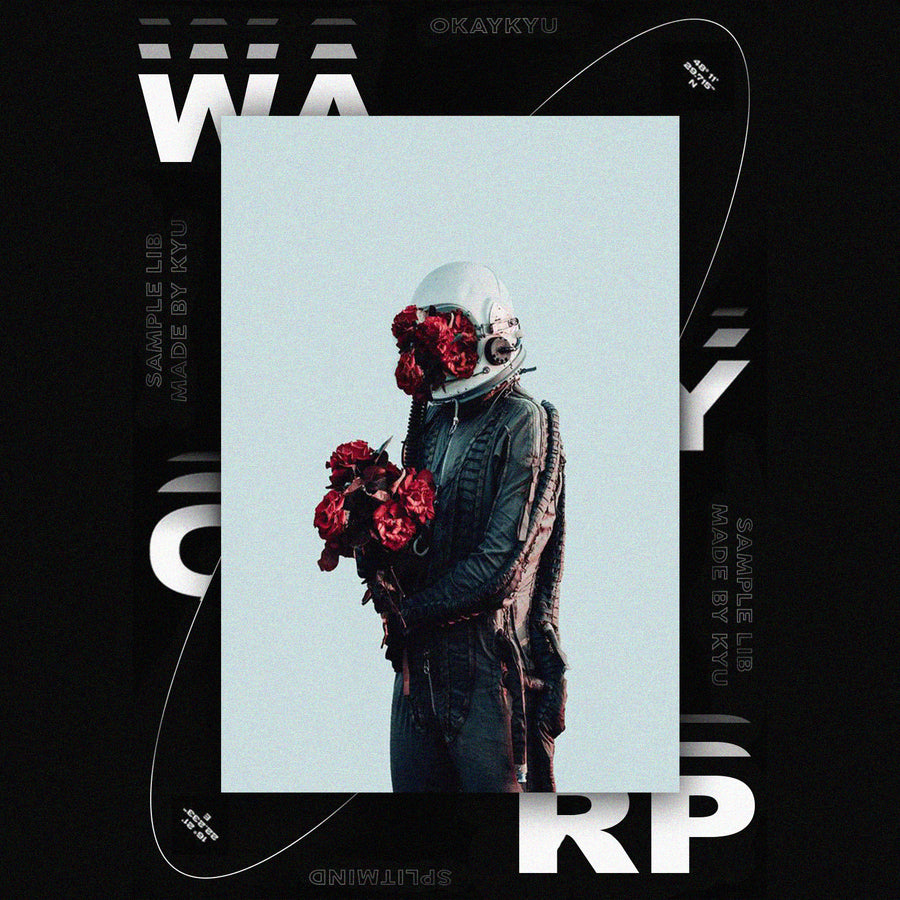 TIME WARP (LOOP KIT)